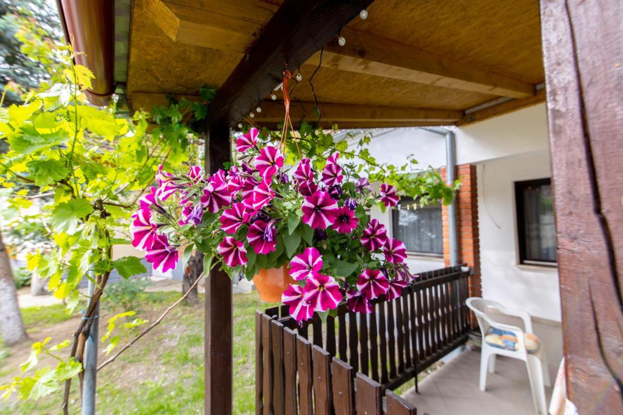 Apartman Marta I Soba Maja Gradiste Bagian luar foto