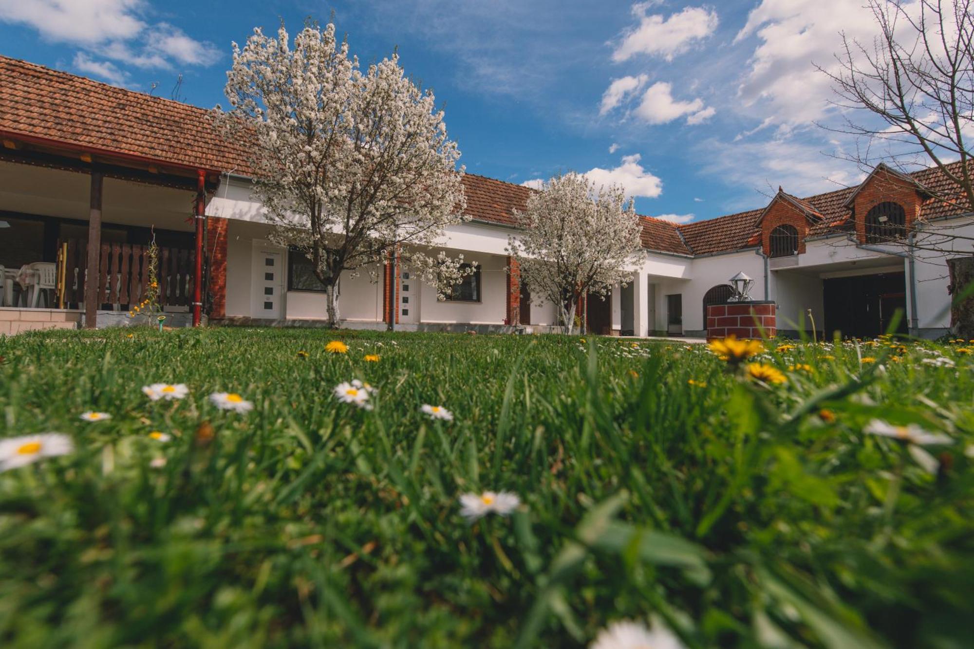 Apartman Marta I Soba Maja Gradiste Bagian luar foto