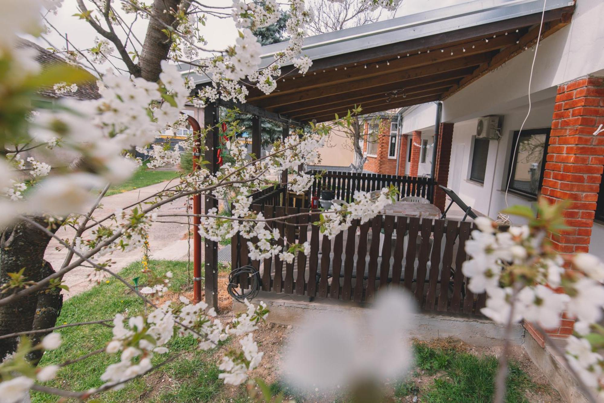 Apartman Marta I Soba Maja Gradiste Bagian luar foto
