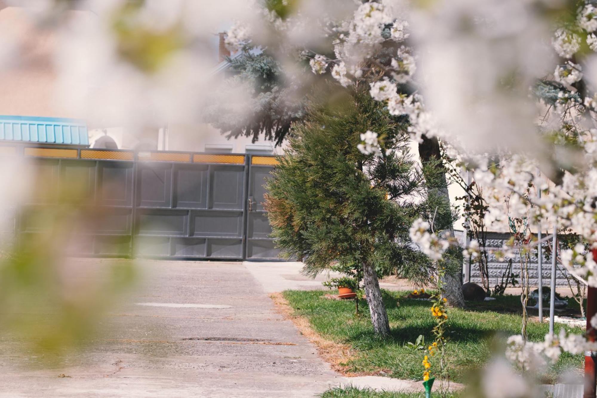 Apartman Marta I Soba Maja Gradiste Bagian luar foto