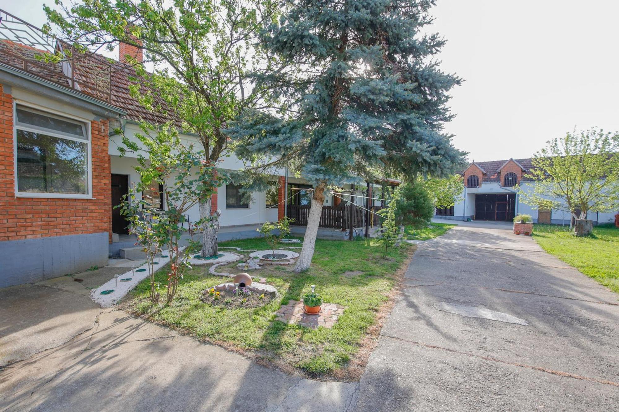 Apartman Marta I Soba Maja Gradiste Bagian luar foto