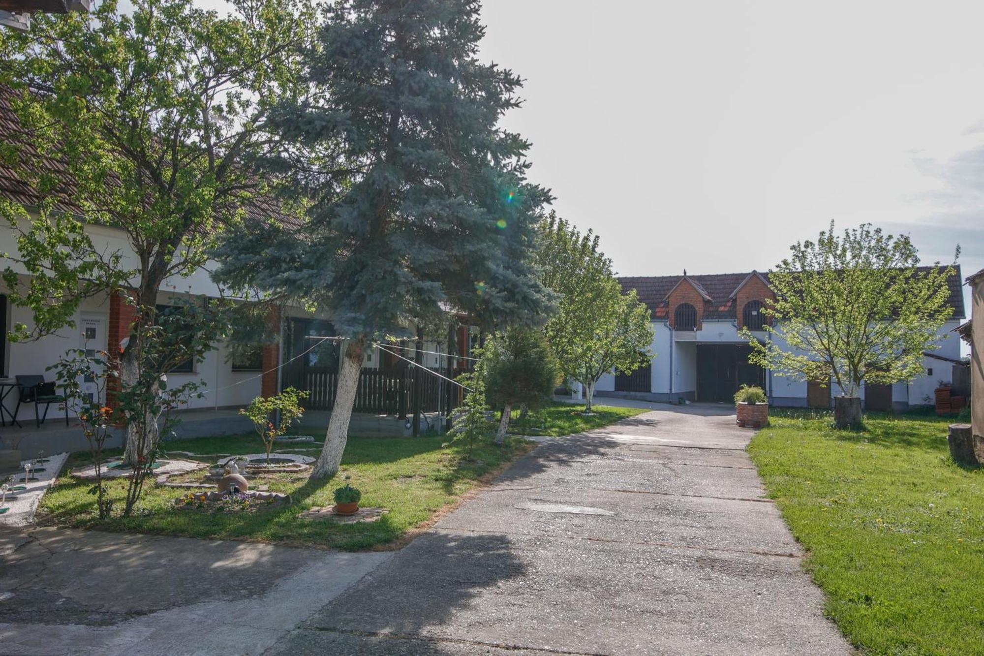 Apartman Marta I Soba Maja Gradiste Bagian luar foto